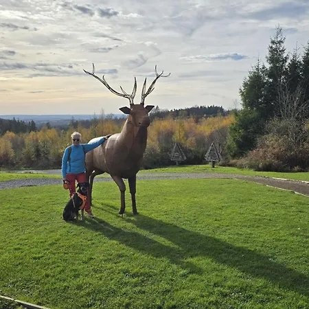 Adventure Apartment *