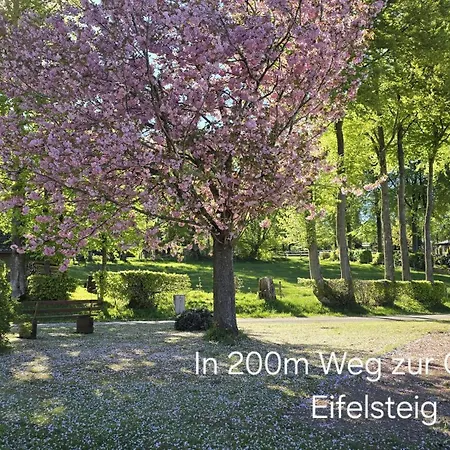Adventure Monschau