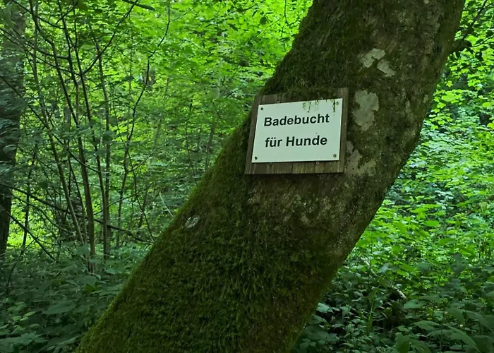 Adventure Apartment Monschau