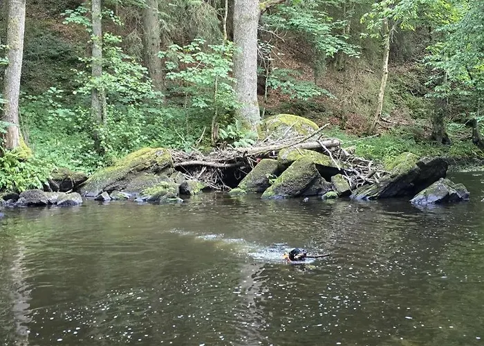 Adventure Apartment *